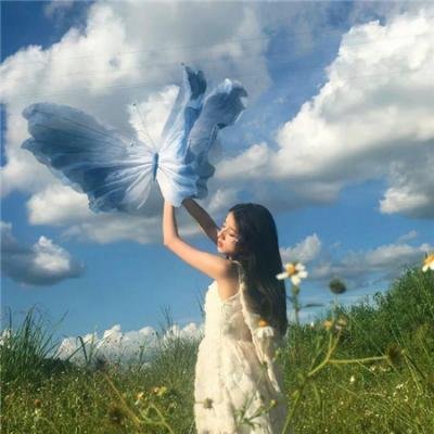 佛尼吉亚的霍华一家 封面
