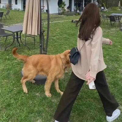 狱中龙 封面