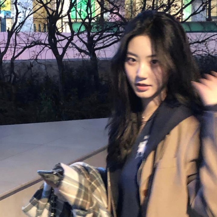 抵挡计划 封面