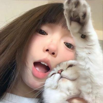 埃及艳后的任务 封面